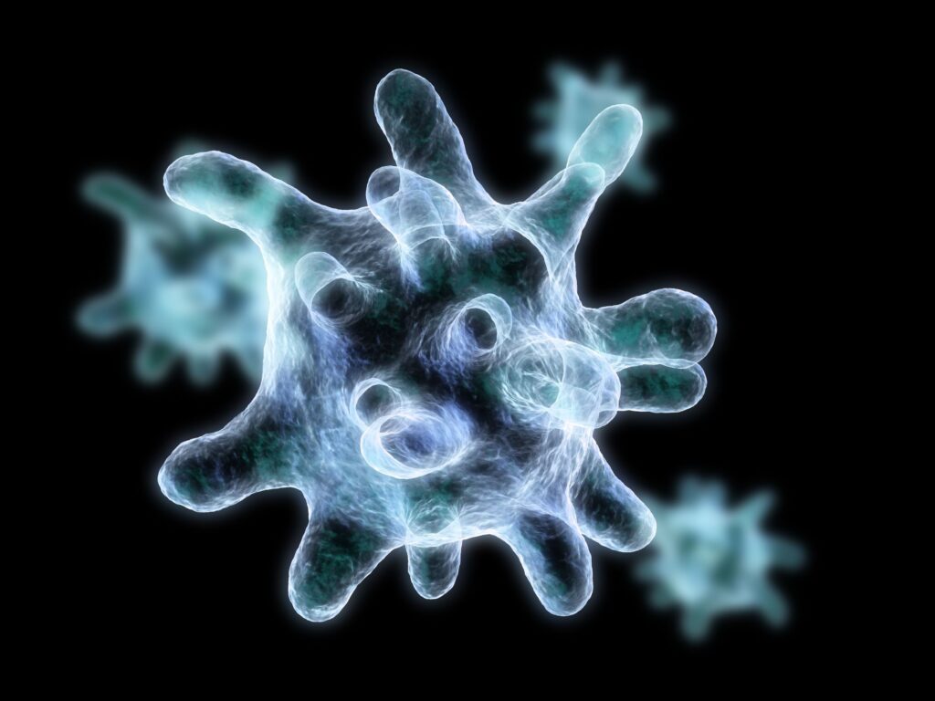 巨噬細胞是人體免疫系統的重要組成部分，同時充當清道夫的角色，負責檢測、清除和擊退人體內的病原體及壞死細胞。