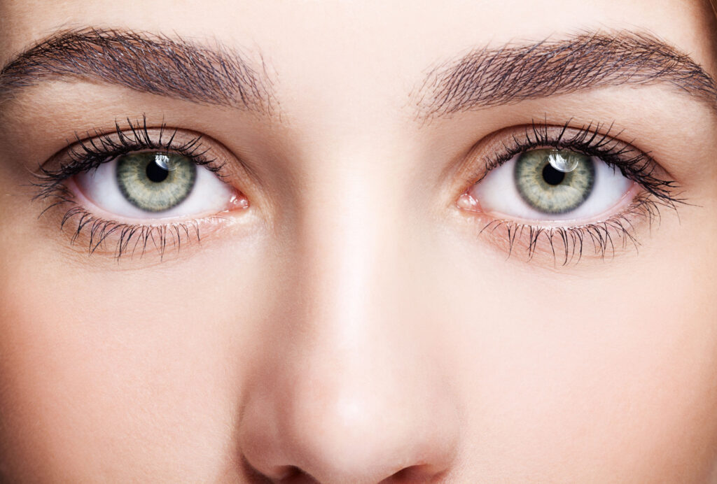 淺色眼珠人士也能調節瞳孔來避免過多光線進入眼內，因此他們不會更易畏光。