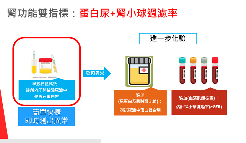 慢性腎病雙指標：蛋白尿 + 腎小球過濾率