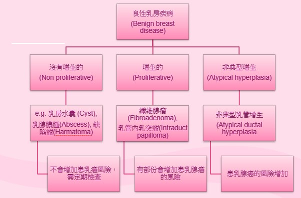 3類良性乳房疾病，其中非典型增生性腫瘤為原位癌的前身。