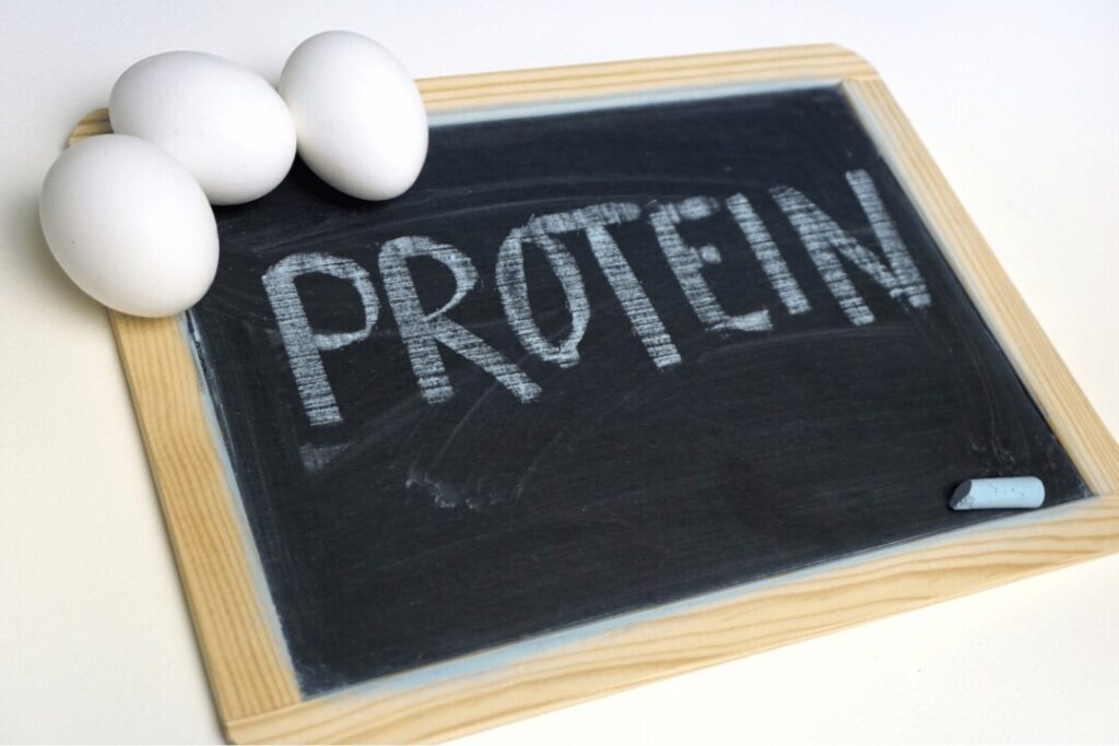 根據世界衞生組織的研究及建議，蛋白質的攝取量應為人體每天所需能量的10%至15%