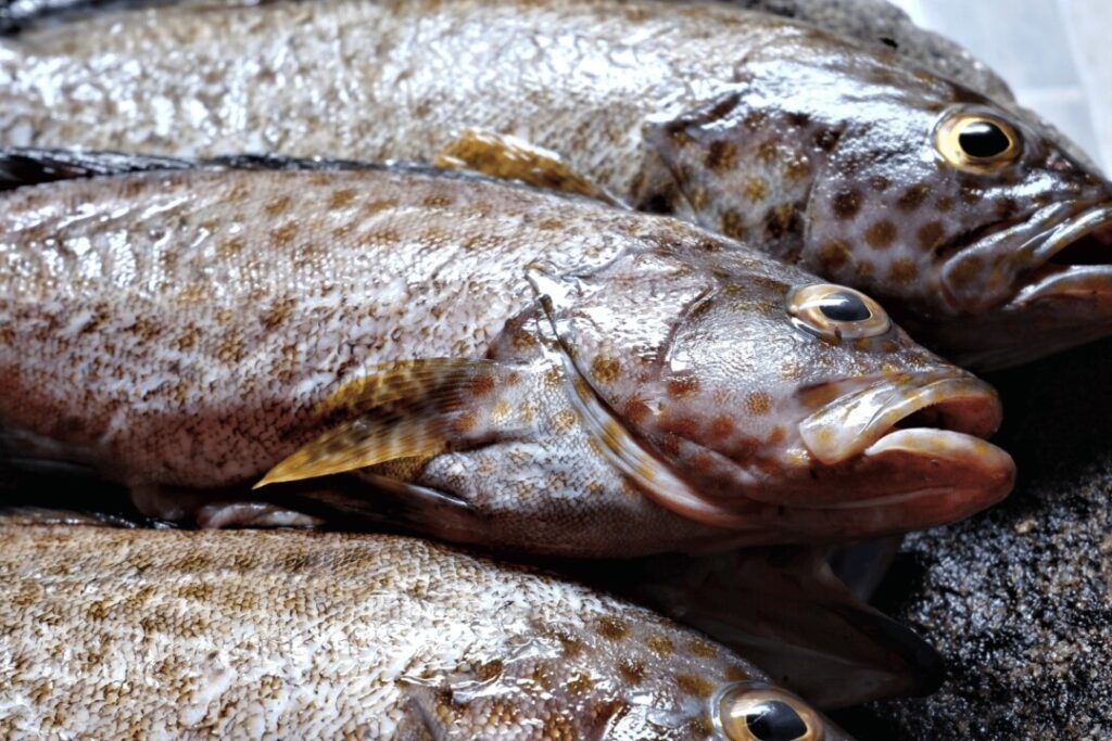 部分魚類以中式蒸法烹調，濕疹患者也可食用