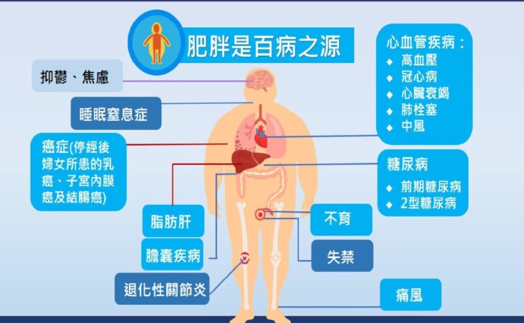 肥胖是百病之源，長者減重的秘訣就是運動＋健康＝活力人生。