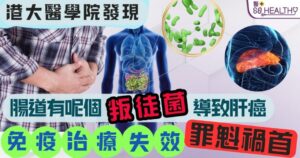 原來是腸道細菌在「拆台」!港大證實這「叛徒」削弱肝癌免疫治療火力