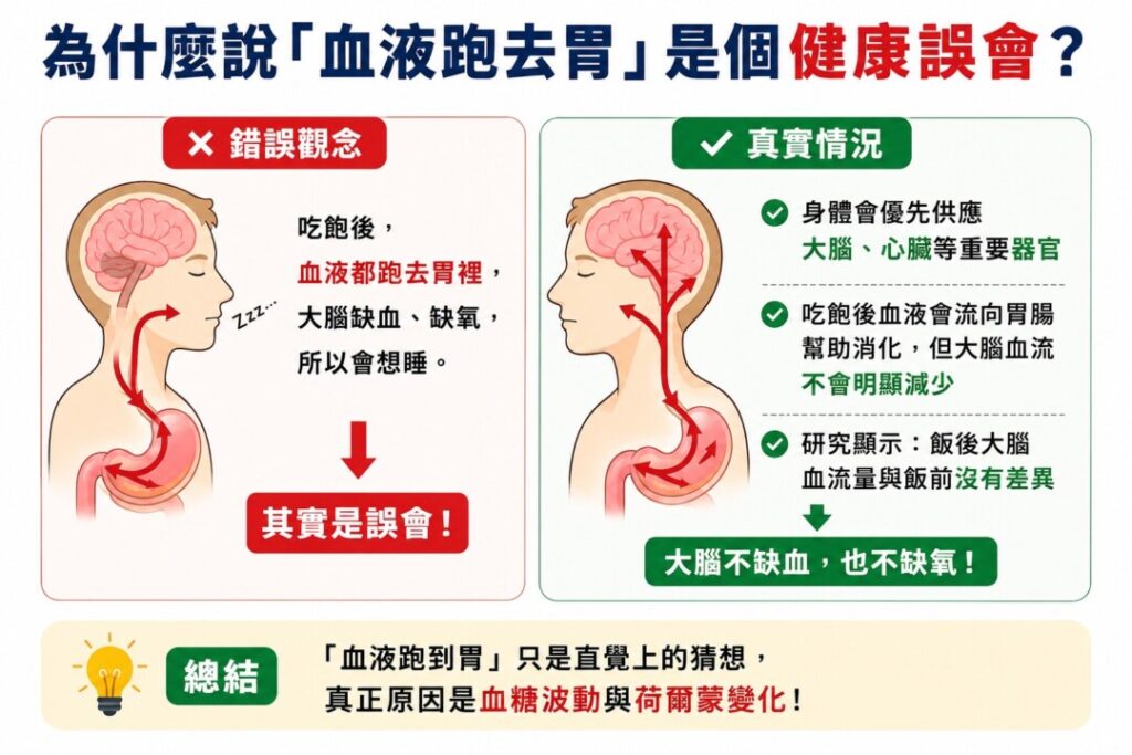 吃飽想睡不是因為血液跑到胃！3大斷電原因曝光，靠4招拯救飯後嗜睡